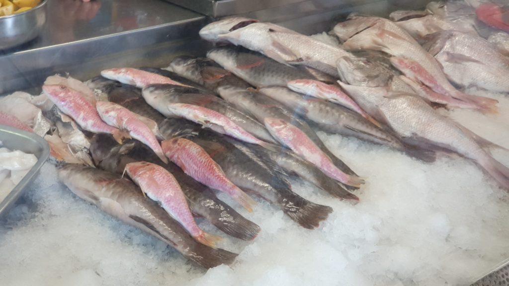 Fische in der Theke im Fischrestaurant Amigo Camilo